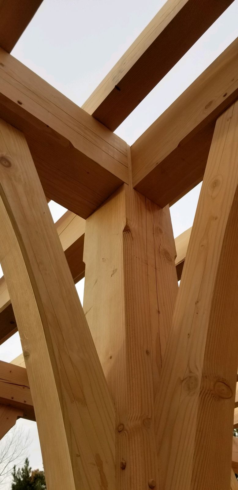 Timber joinery detail in the shop